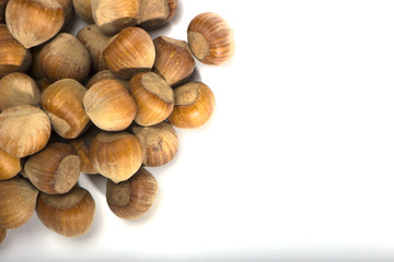 hazelnuts closeup on a light background