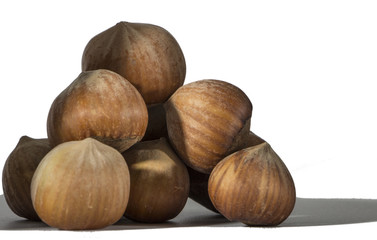 hazelnuts closeup on a light background