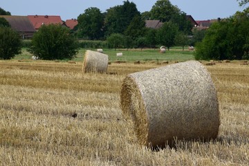 Heuballen (1)