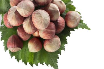 Hazelnut on green leaves isolated on white background