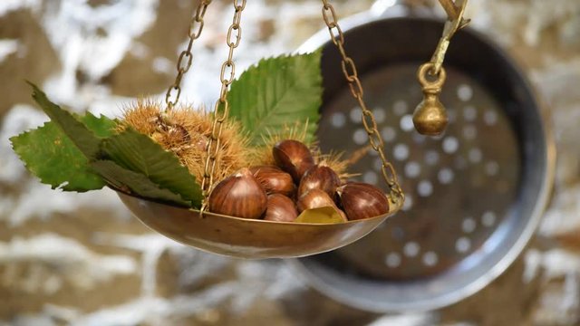 Castanya Castagna Ch&acirc;taigne Casta&ntilde;a Fruita Caldarroste Castanhas Castagne Castanha Caldarrosta video Fruit 밤 열매 Chestnuts Frutta
