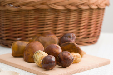 Edible forest mushrooms.