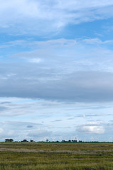 Obraz premium Windräder in der Ferne