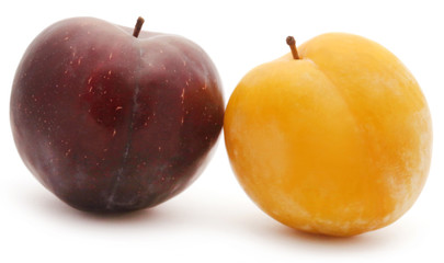 Fresh plums