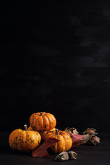 Orange pumpkins on the wooden background. Halloween, thanksgiving and autumn harvest concept with copy space
