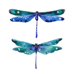 watercolor two dragonflies