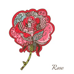 Vector card with stylized rose flower. Hand drawn illustration.