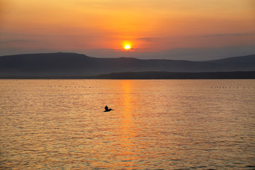 Obraz premium La Mina Beach in Paracas National Reserve, Peru.
