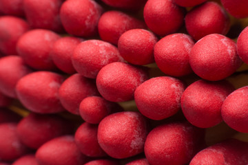 Close-up red matches,wooden match