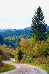 Mountain road in the Carpathians in the autumn.