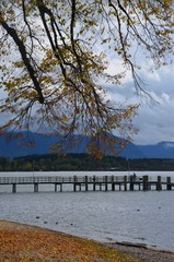 Fototapeta na wymiar Herbstliche Landschaft am Chiemsee mit Bootssteg und Bergen