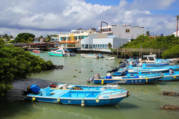 Fototapeta na wymiar Boats anchored at Puerto Ayora on Santa Cruz Island, Galapagos National Park, Ecuador