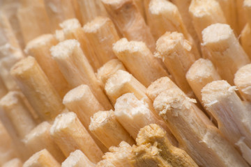 close up of a match sticks
