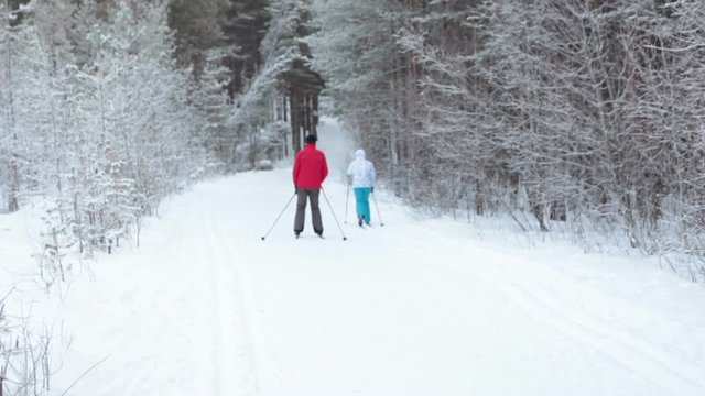 People running country-ski in snowy forest pathway at winter. Man and woman practising together. Rear view