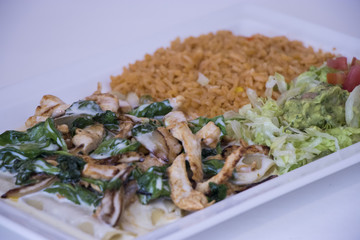 Chicken Fajita Meal