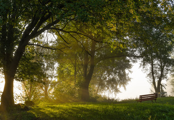 Bench and swing at foggy autumn morning in warm light