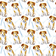 Seamless pattern of a dog, paw and bone.Jack Russell Terrier. Domestic pet.Watercolor hand drawn illustration.White background.