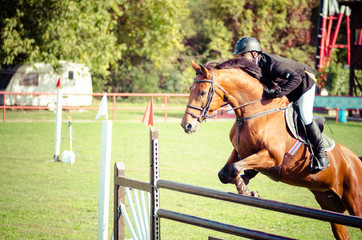 Equestrian sport, Young man jockey ride beautiful brown horse and jump over the crotch in...