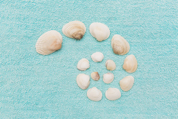 Creative snail of shells, spiral of shells, beautiful white shells of different sizes and shapes on blue background