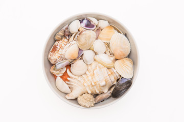 A bunch of beautiful shells of different shape and color in white plate on white background
