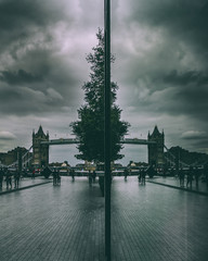 London Tower bridge  - 176312566