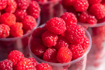 A lot of raspberries on the street market counter