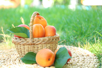 Wicker basket with fresh apricots on mat, outdoors