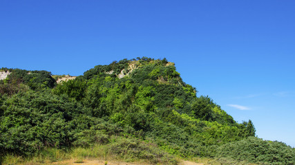 Fototapeta na wymiar A tree-covered hill on blue sky background