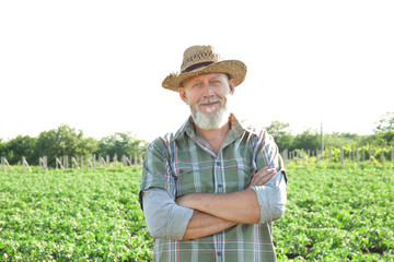 Mature farmer standing in field with green plants