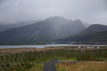 Norwegen, Norge, Ramberg, Lofoten, Fredvang, Flakstad, Regen, Regenbogen, Straße, Weg, Fischfang,...