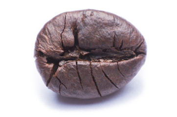 coffee bean close up macro isolated on a white background