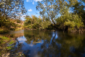Fototapeta premium Early autumn landscape. Wild river flowing along the banks, densely overgrown with bushes and trees.