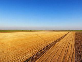 Beautiful field on sunny day