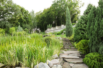 Beautiful green park on summer day