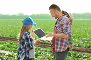 Two farmers with laptop in field