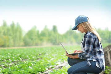 Female farmer with laptop in field