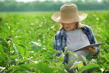 Female farmer with tablet computer in field
