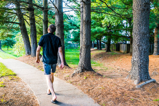 Sidewalk With Row Of Trees In Orange Mulch In Suburban Neighborhood With Path And Young Man Walking