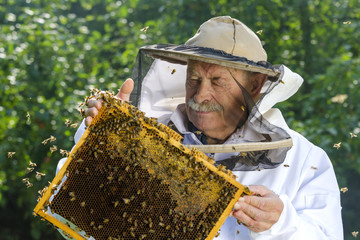 portret pszczelarza w pasiece
