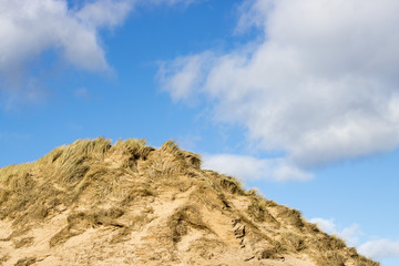 Fototapeta na wymiar Grassy Sand Dunes at Newburgh Beach in front of Blue Sky