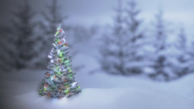 Christmas Tree decorated with seasonal lights