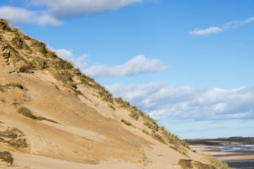 Grassy Sand Dunes at Newburgh Beach in front of Blue Sky