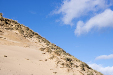 Grassy Sand Dunes at Newburgh Beach in front of Blue Sky