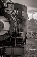 Naklejka premium Brasile 