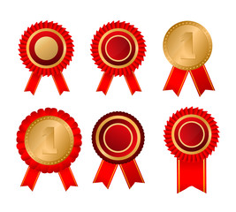 Gold awards champion medal.