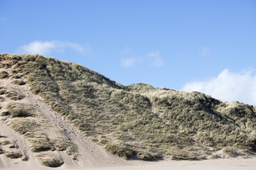 Grassy Sand Dunes at Newburgh Beach in front of Blue Sky