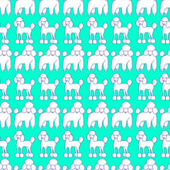Funny hand drawing poodle seamless pattern, vector cartoon dog of white color on a turquoise background.