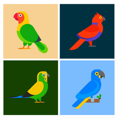 Parrots birds breed species animal flayer brochure nature tropical parakeets education colorful pet vector illustration