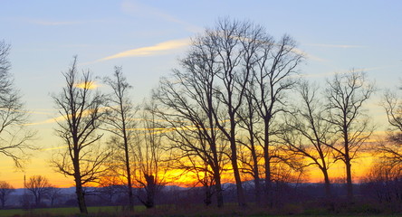Fototapeta na wymiar Nagie drzewa na tle zachodu słońca