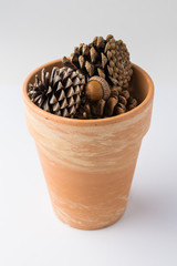 Clay Pot of Pinecones on White Background Front View